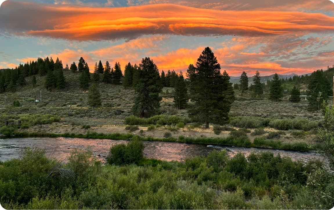 Property management in Truckee