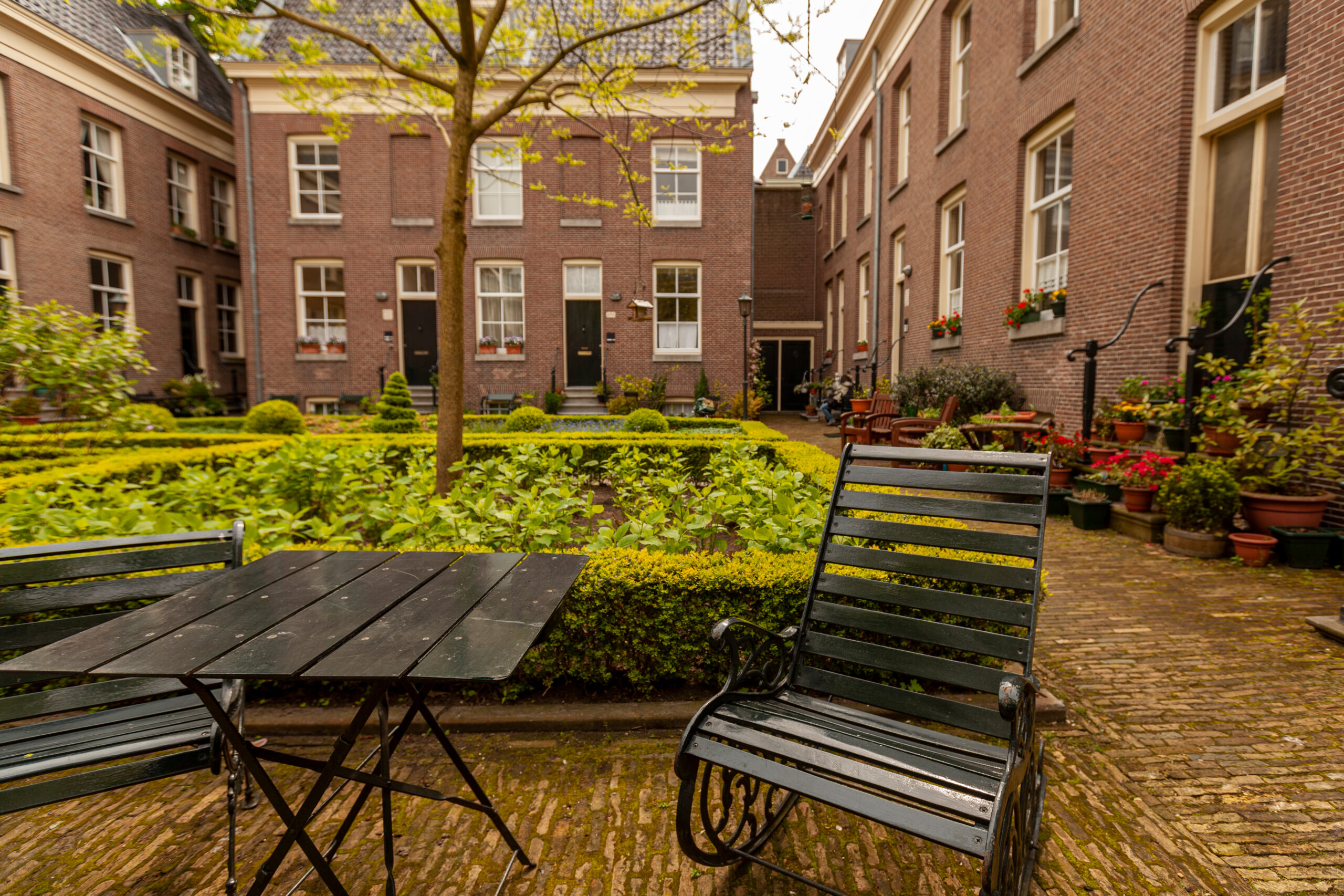apartment rentals