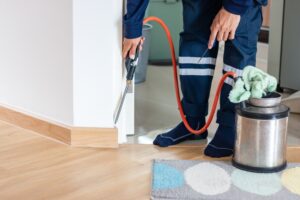 Pest Prevention for Sacramento Rentals