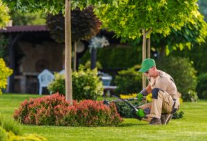 Landscaping & Curb Appeal Tips